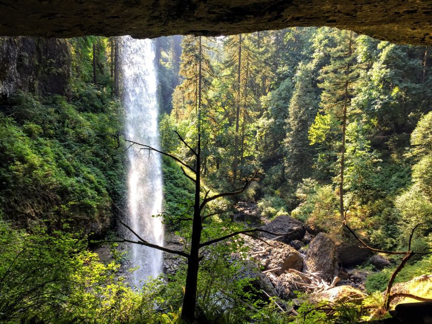 Portland: Silver Falls Hike - Portland Pickup and The Willamette Valley Morning Drive