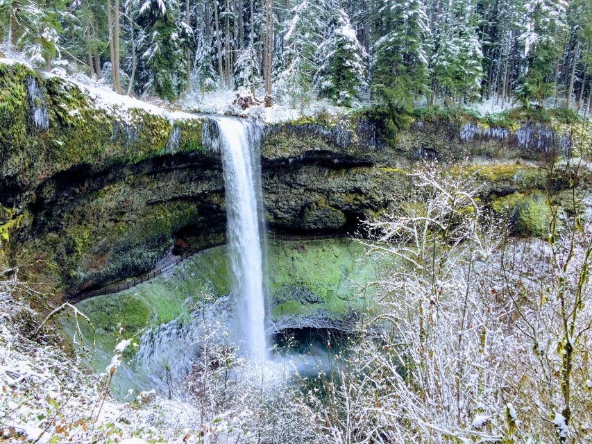 Portland: Silver Falls Hike - What Your Guide Adds on the Trail (Natural + Human History)
