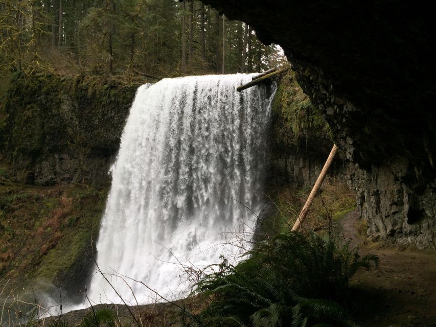 Portland: Silver Falls Hike - Picnic Lunch at the Park, Plus a Lodge and Gift Shop Reset