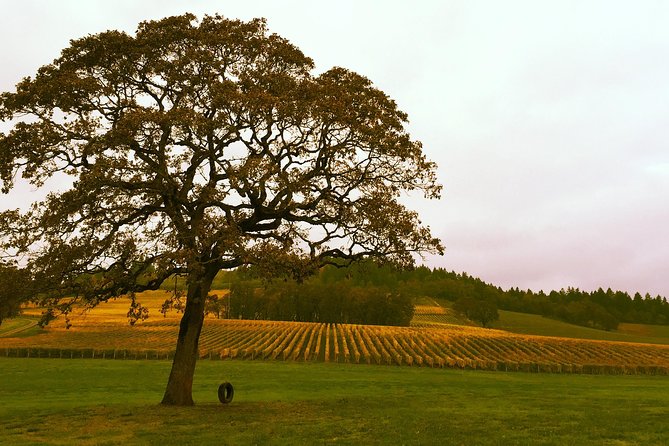 Private - Willamette Valley Wine Tour From Portland (tasting fees included) - Lunch Plans: Keep It Simple and Ask Your Guide