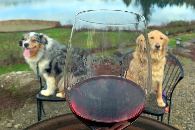 Private Wine Excursion Willamette Valley, Oregon - Wine Tour - Stop 4 in Newberg: Boutique Winery Craft and Owner Stories