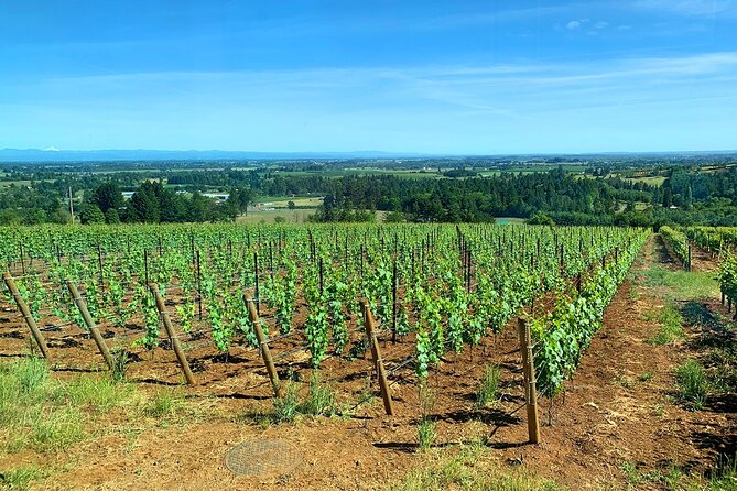 Private Wine Excursion Willamette Valley, Oregon - Wine Tour - Wine Tastings and Bottle Purchases: How to Budget the Real Cost