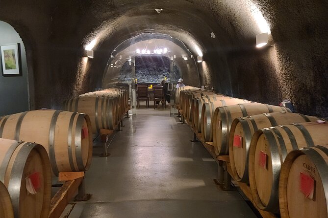 Private Wine Tours - 9:00 am Pickup and the Team That Sets the Tempo