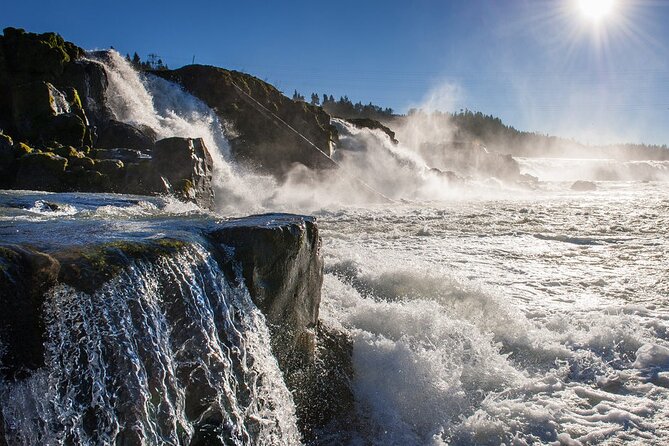 Scenic 2-Hour River Cruise to the Majestic Willamette Falls! - Why This Willamette Falls Cruise Feels Like Real Portland