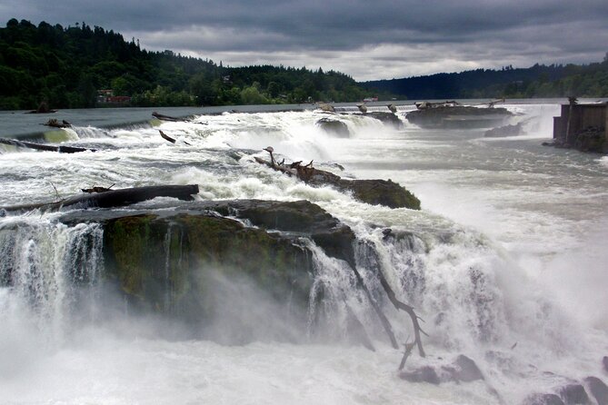 Scenic 2-Hour River Cruise to the Majestic Willamette Falls! - Onboard Comfort: Life Jackets, Covered Space, and BYOB