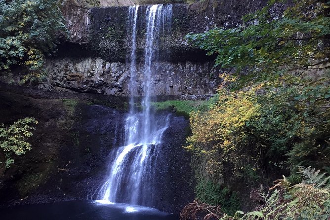 Silver Falls Hike - Willamette Valley drive: what you learn beyond the trees