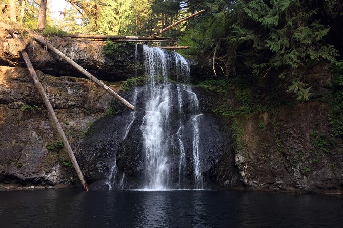 Silver Falls Hike - Should you book this Silver Falls and Willamette Valley day?