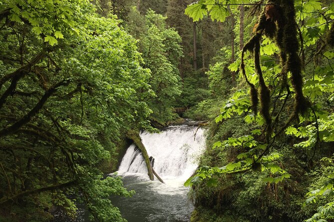Silver Falls Waterfall Hiking Tour from Portland - Silverton and Mt. Angel: quick cultural hits without derailing the waterfall time