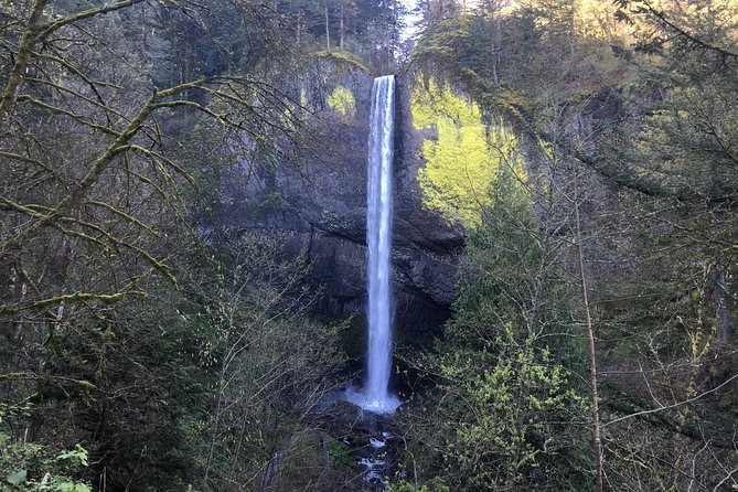 Small Group: Columbia River Gorge Waterfalls and Mt Hood Day Tour from Portland - Small Group Size: What Changes When You’re Not Packed In