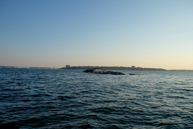 Small Group Sunset Lighthouse Boat Cruise With Local Drinks - Getting on the water at Portland Beer Hub (and why it matters)