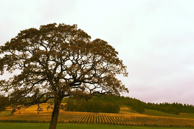 Small Group: Willamette Valley Wine Tour From Portland (Tasting Fees Included) - Northern Willamette Valley: an easy Portland winemaker day