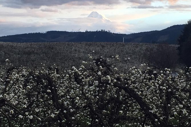 The Hood-Columbia Loop: Timberline, Orchards, and Waterfalls - The science and stories on the route: PCT crossing, hatchery, and the dam era