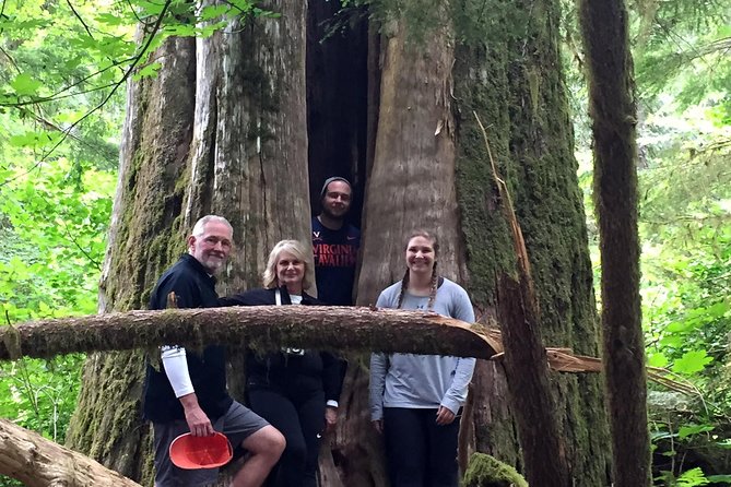 The Mt St Helens Adventure Tour from Portland - From Portland to a Volcano: The Day Trip Logic That Makes Sense
