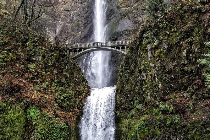 Waterfalls & Wine Tour-Multnomah Falls,Vineyards,Hood River Combo - Price and Logistics: Is $249 Good Value for This Gorge + Wine Mix?