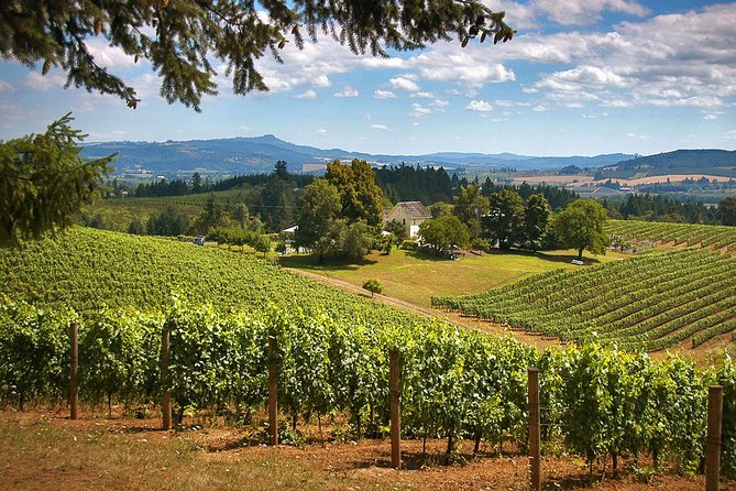 Willamette Valley Wine Tasting Tour from Portland - Key things that make this tour work