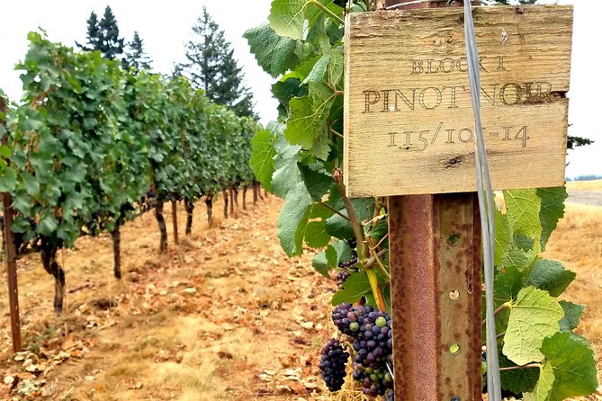 Willamette Valley Wine Tour - Full Day Tour - From Portland to Dundee Hills: How the Day Flows