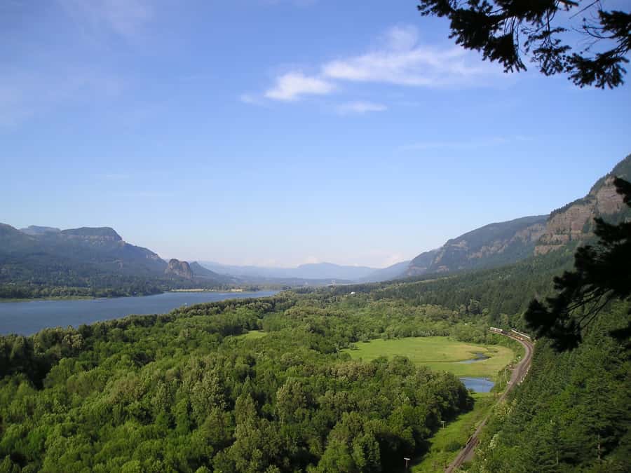 Wonderful Waterfalls of Columbia River Gorge Tour - Latourell Falls: Forest Walk and Basalt Drama